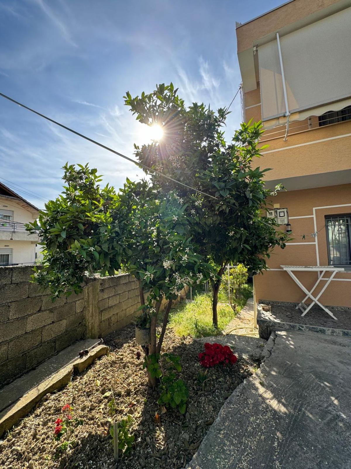 Vila Murati Tirana Exterior foto